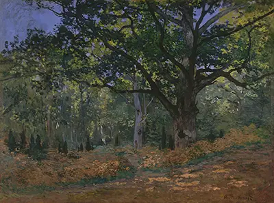 The Bodmer Oak, Fontainebleau Claude Monet